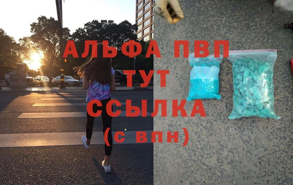 амф Козельск
