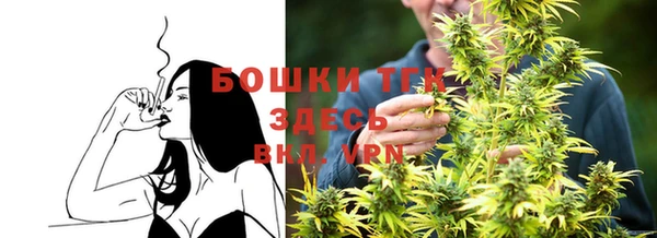 амф Козельск