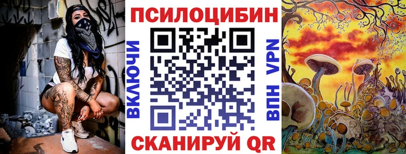 купить наркоту  Камышин  Галлюциногенные грибы GOLDEN TEACHER 